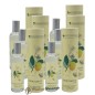 Eau de Toilette Bergamotte Provence et Nature 100 ml (Set aus 6)