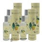 Eau de Toilette Bergamotto Provence et Nature 100 ml (Set di 4)