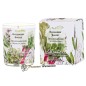 Rhubarb Sage scented candle Lothantique