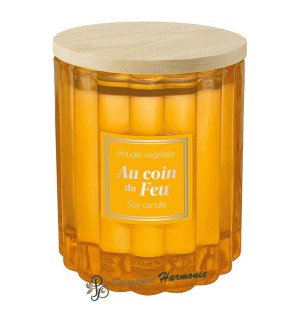 Vela vegetal Junto al Fuego 190 g Esprit Provence