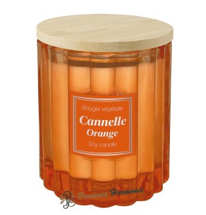 Candela vegetale Cannella Arancia 190 g Esprit Provence