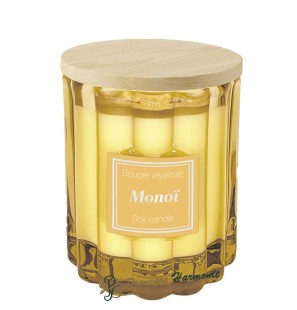 Vela vegetal Monoï 100 g Esprit Provence