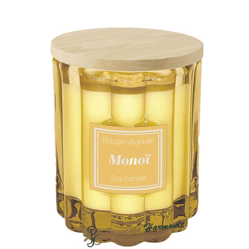 Vela vegetal Monoï 100 g Esprit Provence Vela vegetal Monoï 100 g Esprit Provence