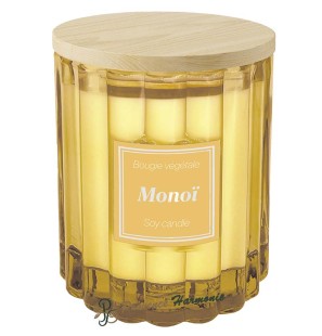 Vela vegetal Monoï 190 g Esprit Provence