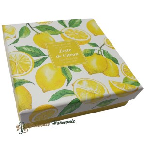 Lemon zest soap and soap dish gift set Esprit Provence