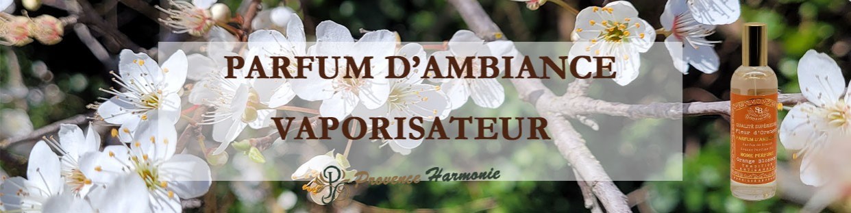 Parfum d'Ambiance Vaporisateur