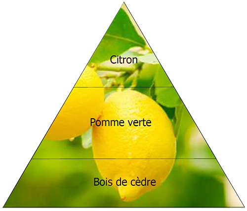 file_1739112244.8136.png